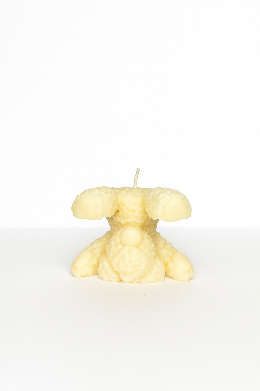 Bärenkerze im Kopfstand